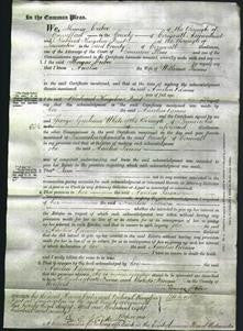 Court of Common Pleas - Amelia Parsons-Original Ancestry