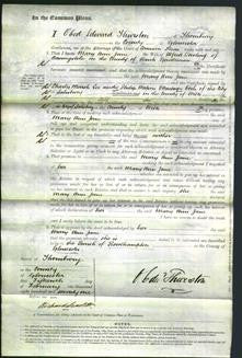 Court of Common Pleas - Mary Ann Jane Dowling-Original Ancestry