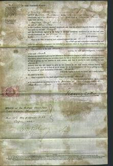 Court of Common Pleas - Sarah Pope-Original Ancestry