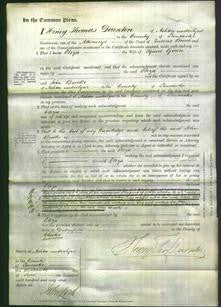 Court of Common Pleas - Eliza Green-Original Ancestry