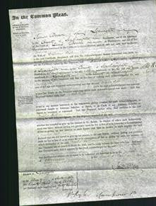 Court of Common Pleas - Martha Fish-Original Ancestry