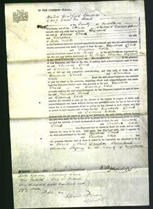 Court of Common Pleas - Elizabeth Crack and Caroline White-Original Ancestry