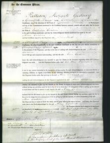 Court of Common Pleas - Ann Carline-Original Ancestry