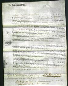 Court of Common Pleas - Penelope Russell-Original Ancestry