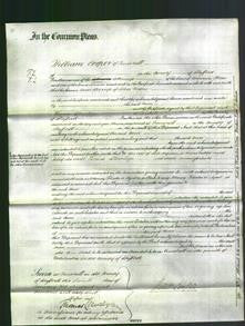 Court of Common Pleas - Ann Nixon-Original Ancestry