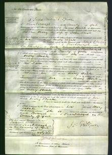 Court of Common Pleas - Mary Boak-Original Ancestry
