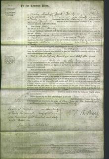Court of Common Pleas - Ann Brierley-Original Ancestry