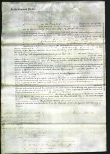 Court of Common Pleas - Maria Jane Delves-Original Ancestry