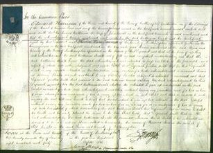 Court of Common Pleas - Catherine Ancell-Original Ancestry