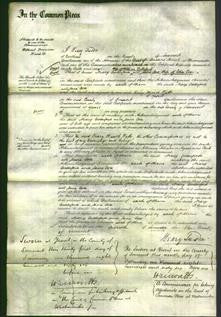 Court of Common Pleas - Mary Culliford-Original Ancestry