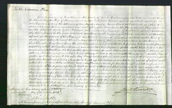 Court of Common Pleas - Mary Smart-Original Ancestry
