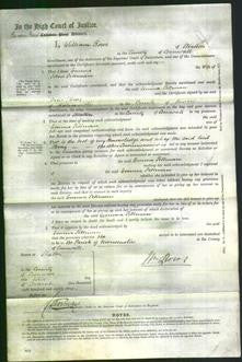 Court of Common Pleas - Emma Pillman-Original Ancestry