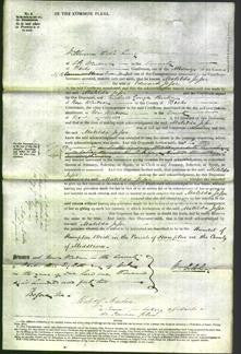 Court of Common Pleas - Matilda Jesse-Original Ancestry