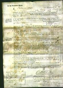 Court of Common Pleas - Caroline Upward-Original Ancestry