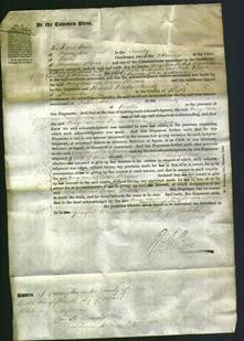 Court of Common Pleas - Mary Ann Williams and Teresa Frances Butler-Original Ancestry