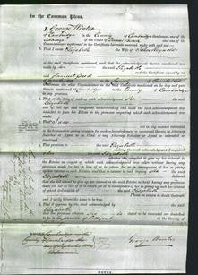 Court of Common Pleas - Elizabeth Reynolds-Original Ancestry