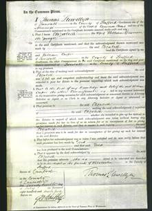 Court of Common Pleas - Elizabeth Grosvenor-Original Ancestry