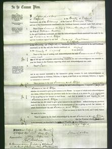 Court of Common Pleas - Susanna Stroudley and Eliza Butcher-Original Ancestry