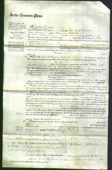 Court of Common Pleas - Ann Wyatt-Original Ancestry