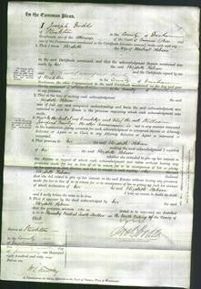 Court of Common Pleas - Elizabeth Hobson-Original Ancestry