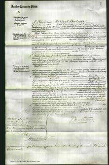 Court of Common Pleas - Ann Lucy Walker Spencer, Rebecca Cooper and Caroline Clarke-Original Ancestry