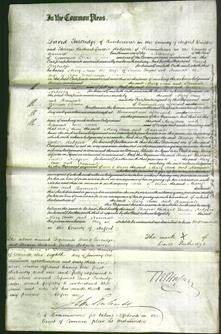 Court of Common Pleas - Mary Ann Payne and Hannah Whitehouse-Original Ancestry