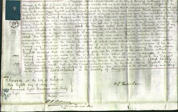 Court of Common Pleas - Mary Elizabeth Meredith-Original Ancestry