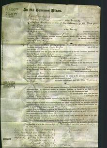 Court of Common Pleas - Mary Griffin-Original Ancestry