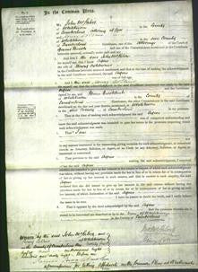 Court of Common Pleas - Agnes Ashburner-Original Ancestry