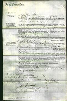 Court of Common Pleas - Letitia Davies-Original Ancestry