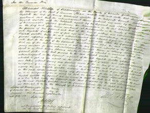 Court of Common Pleas - Elizabeth Doolittle-Original Ancestry