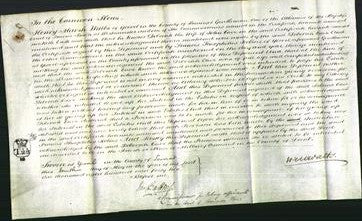 Court of Common Pleas - Deborah Cave-Original Ancestry