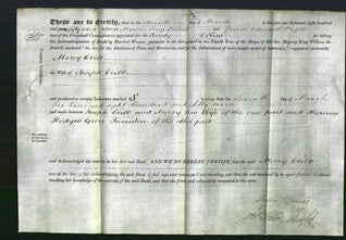 Deed by Married Women - Mercy Cribb-Original Ancestry
