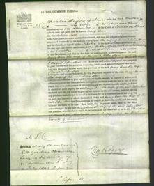 Court of Common Pleas - Mary Ann How-Original Ancestry