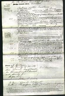 Court of Common Pleas - Elizabeth Pickering and Martha Cooper-Original Ancestry