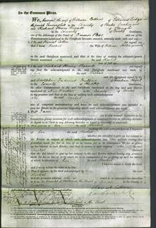 Court of Common Pleas - Rachel Hollingsworth-Original Ancestry