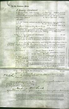 Court of Common Pleas - Emma Buttle-Original Ancestry