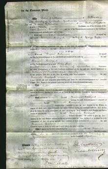 Court of Common Pleas - Hannah Buzzard Foster-Original Ancestry