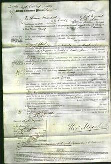 Court of Common Pleas - Mary Glenister-Original Ancestry