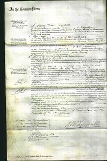 Court of Common Pleas - Mary Hughes Carter-Original Ancestry