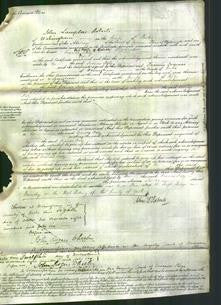 Court of Common Pleas - Frances Daly-Original Ancestry