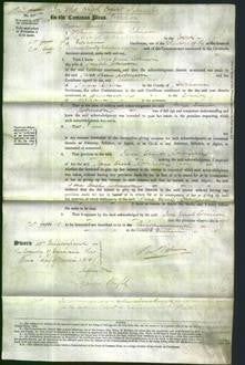 Court of Common Pleas - Jane Steel Robinson-Original Ancestry