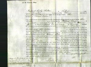 Court of Common Pleas - Alice Ashton-Original Ancestry