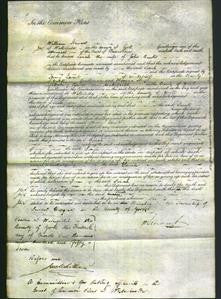 Court of Common Pleas - Sarah Banks-Original Ancestry