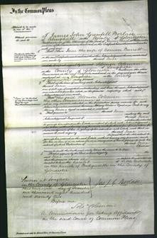 Court of Common Pleas - Jane Barrett-Original Ancestry