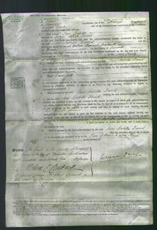 Court of Common Pleas - Jane Isabella Daniel-Original Ancestry