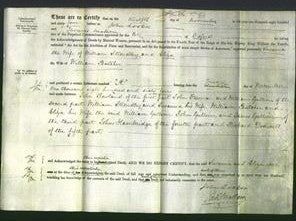 Deed by Married Women - Susanna Stroudley and Eliza Butcher-Original Ancestry