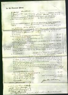 Court of Common Pleas - Sarah Maria Michell Welch-Original Ancestry