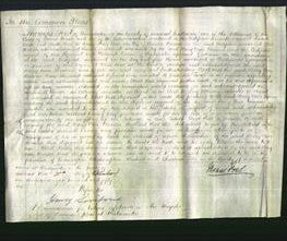 Court of Common Pleas - Mary Ann Verriour-Original Ancestry