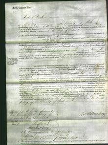 Court of Common Pleas - Hannah Harrison-Original Ancestry